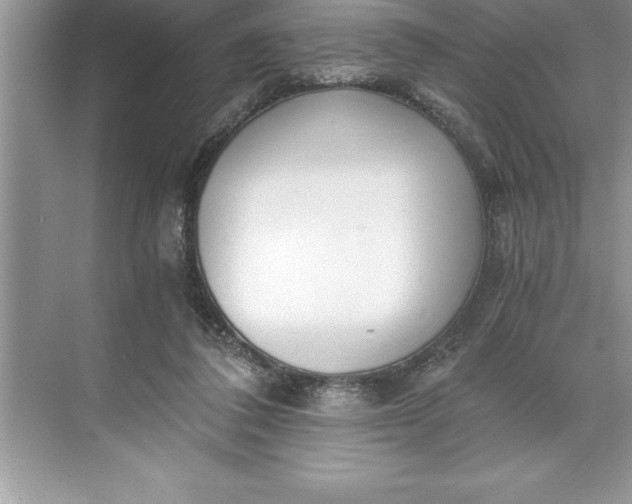 X0000071350308200607071731