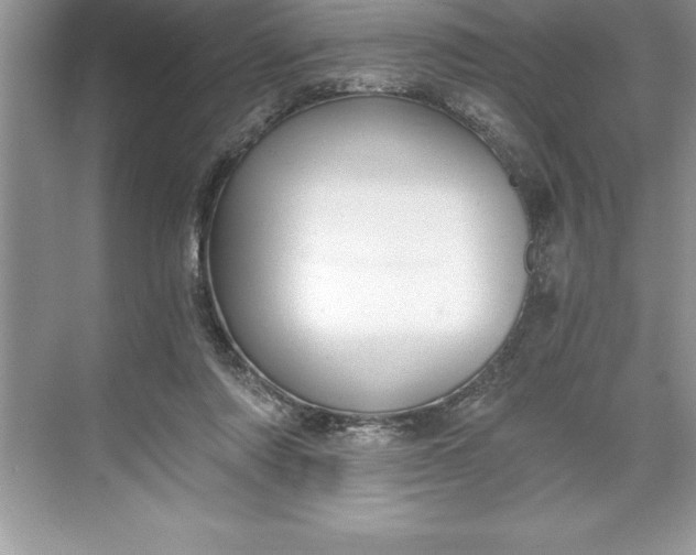 X0000071350310200607071731