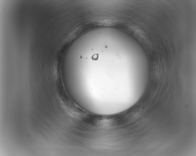 X0000071350312200607071731