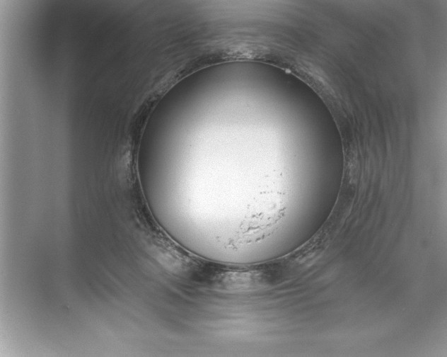 X0000071350314200607071731