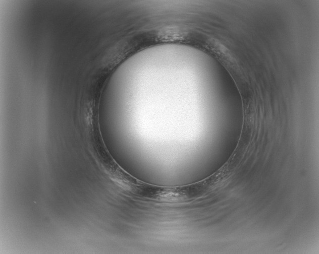 X0000071350315200607071731