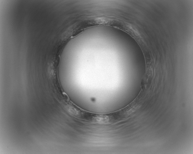 X0000071350317200607071731