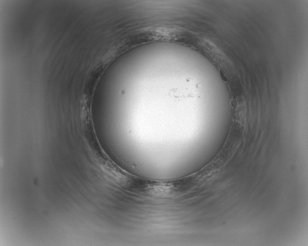 X0000071350318200607071731