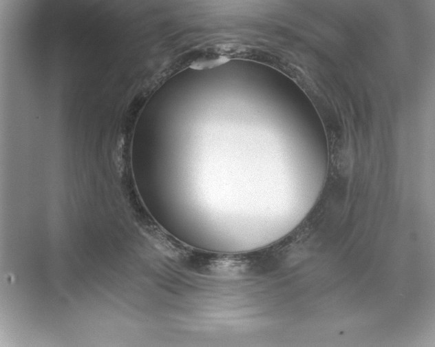 X0000071350319200607071731