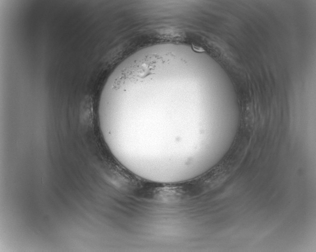 X0000071350320200607071731