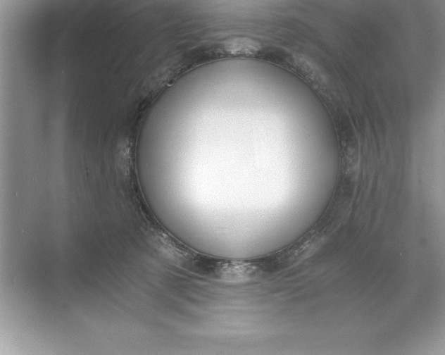 X0000071350321200607071731