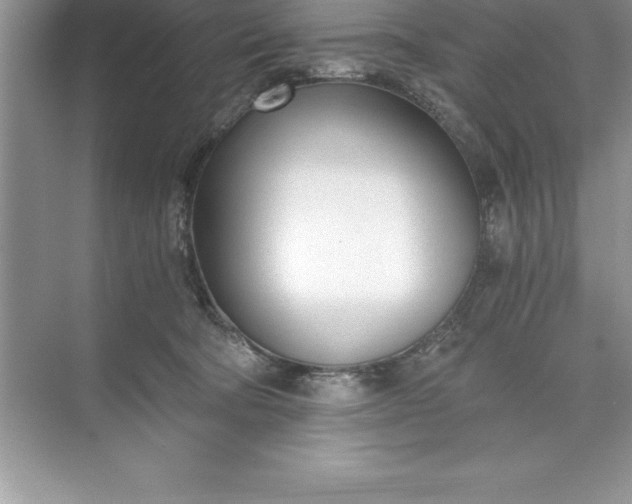 X0000071350322200607071731