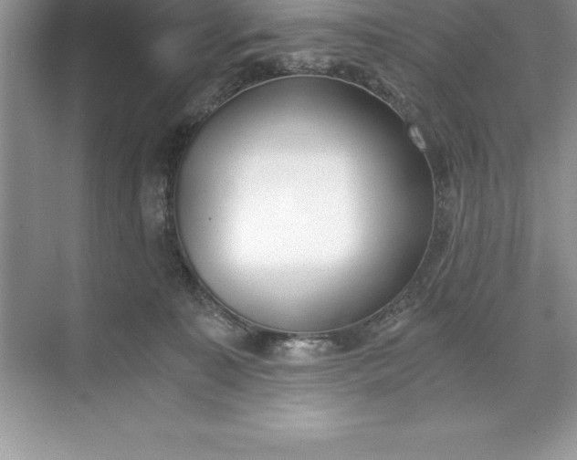 X0000071350323200607071731