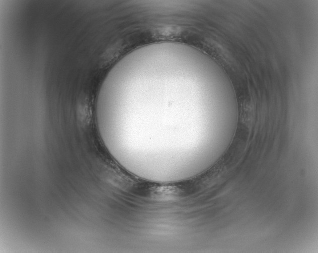 X0000071350324200607071731