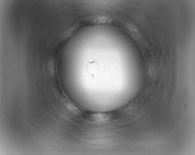 X0000071350326200607071730