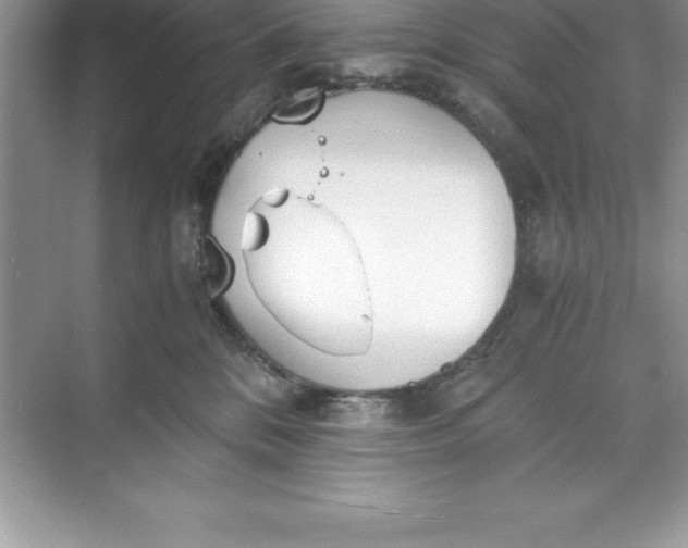 X0000071350328200607071730