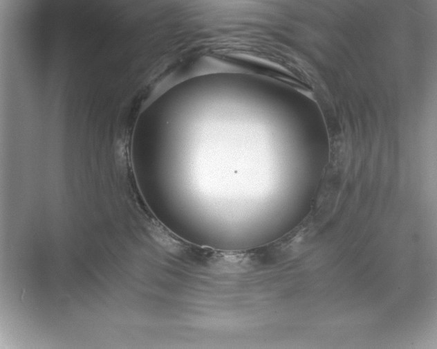 X0000071350329200607071730