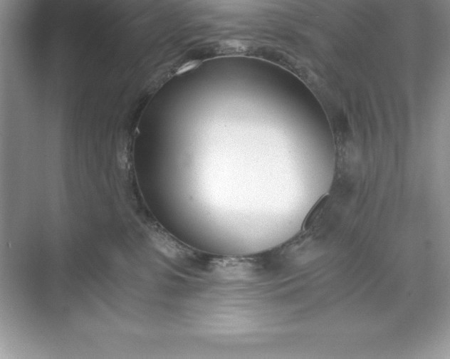 X0000071350331200607071730