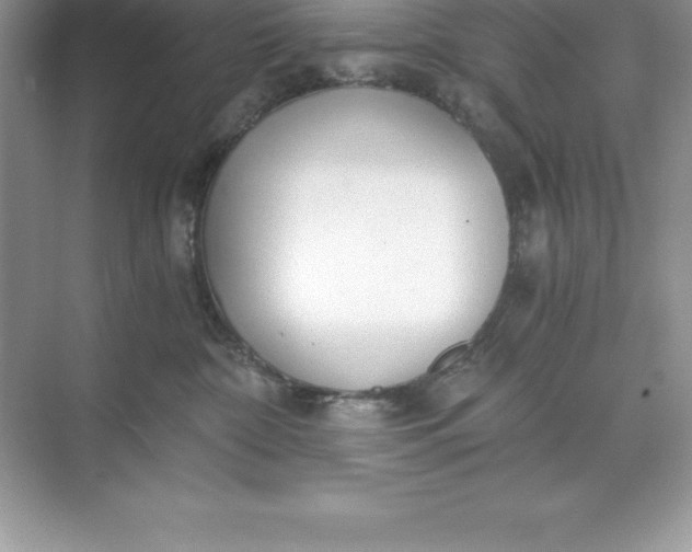 X0000071350332200607071730