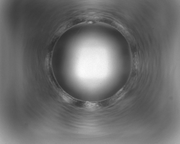 X0000071350333200607071730