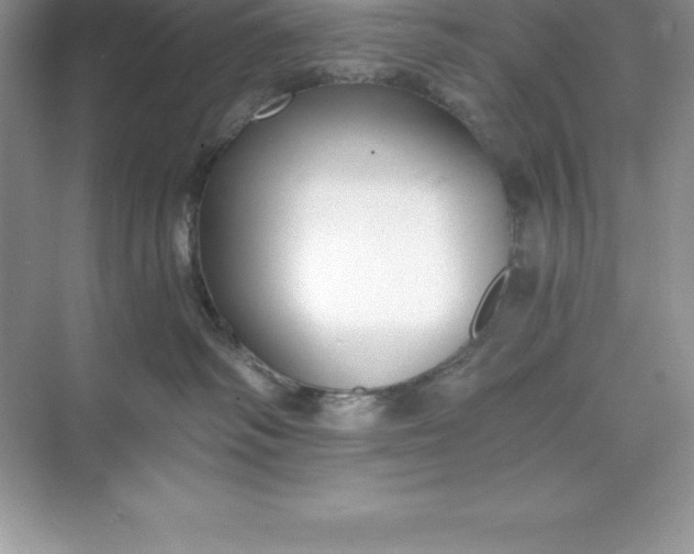 X0000071350334200607071730