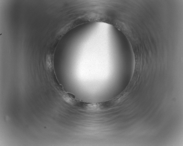 X0000071350335200607071730