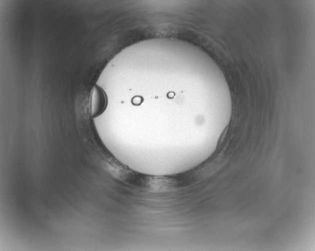 X0000071350336200607071730