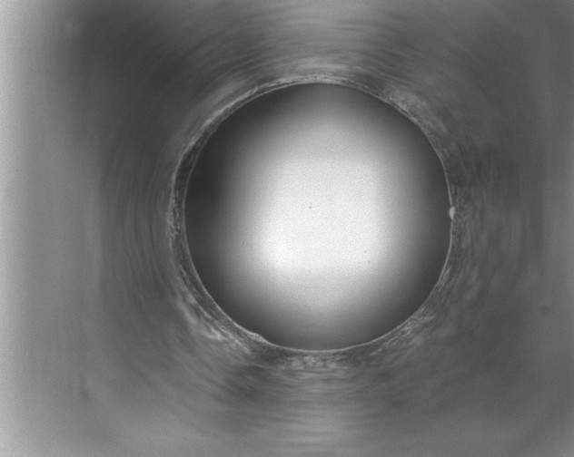 X0000071350338200607071730