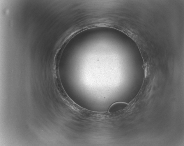 X0000071350339200607071730