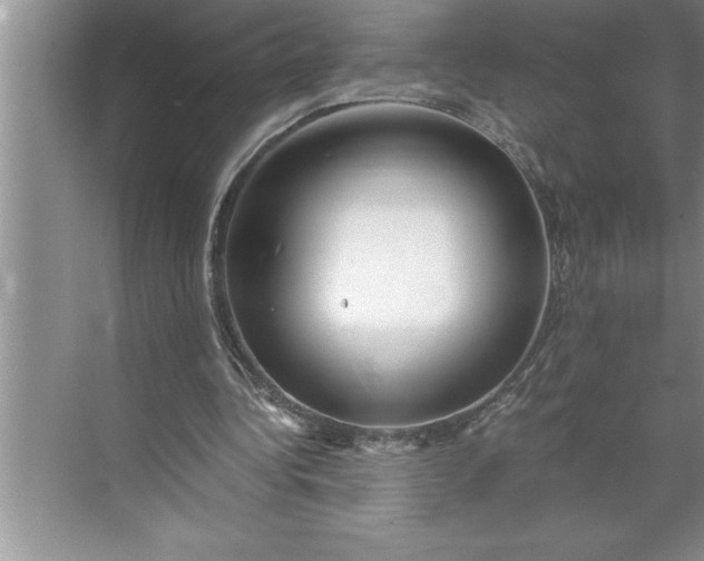 X0000071350340200607071730