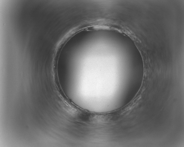 X0000071350341200607071730