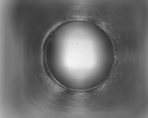 X0000071350342200607071730