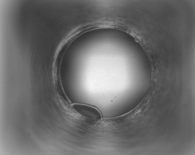 X0000071350343200607071730