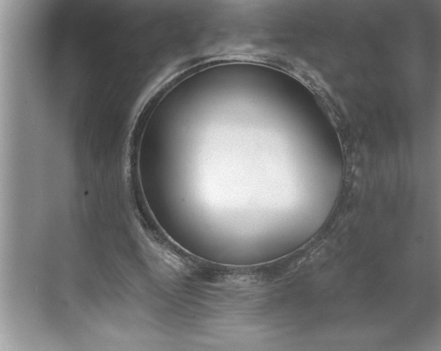 X0000071350344200607071730