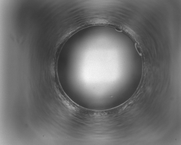 X0000071350345200607071730