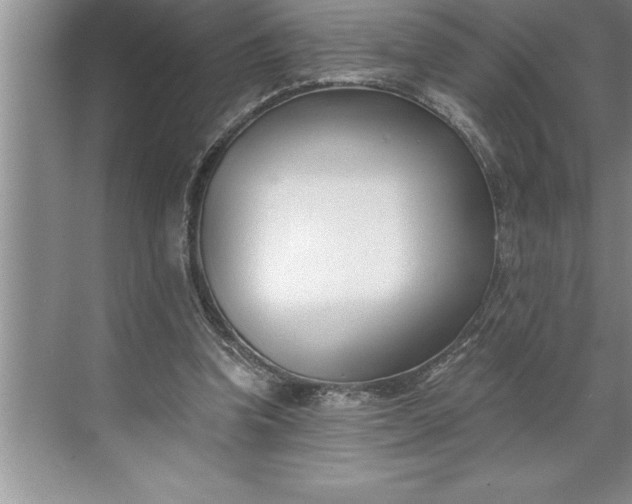 X0000071350346200607071730