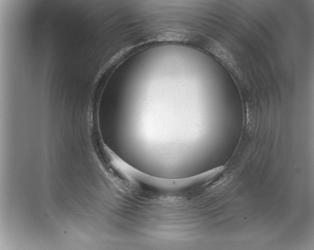 X0000071350348200607071730