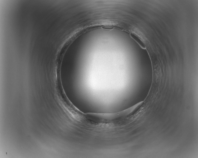 X0000071350350200607071730