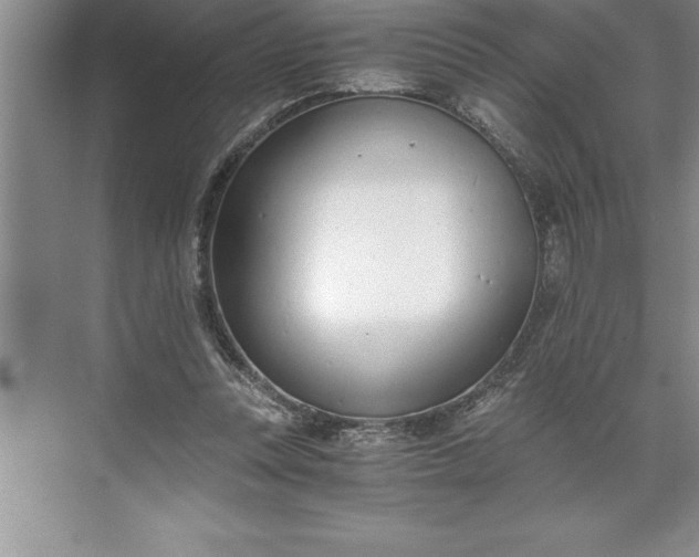 X0000071350351200607071730