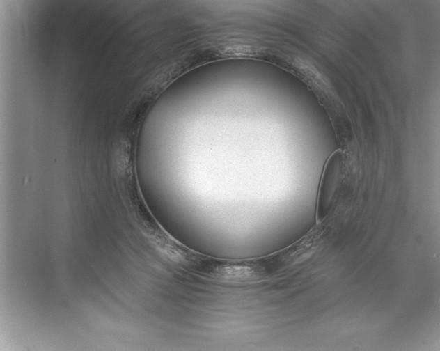 X0000071350361200607071730