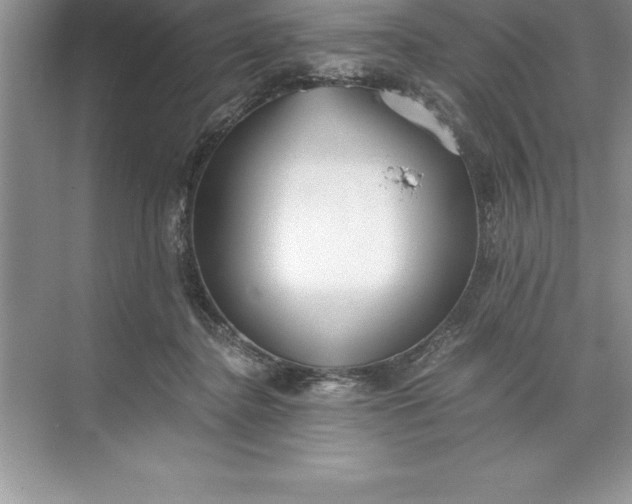 X0000071350364200607071730