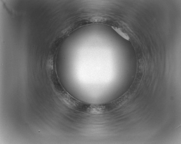 X0000071350368200607071730