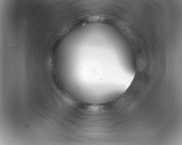 X0000071350375200607071730