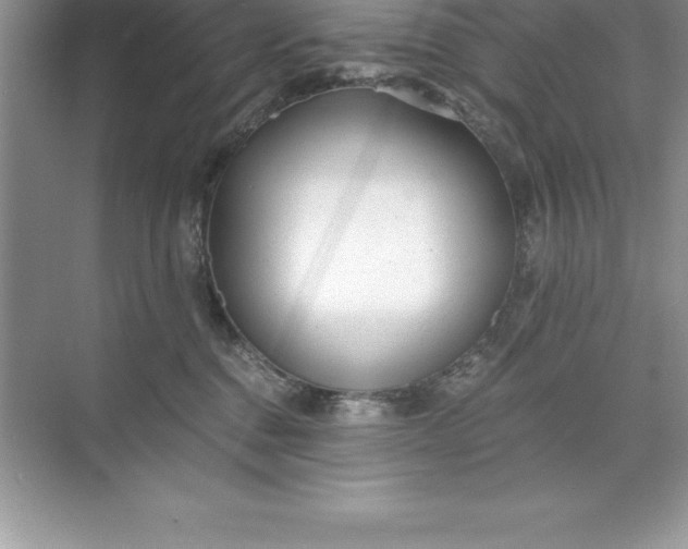 X0000071350376200607071730