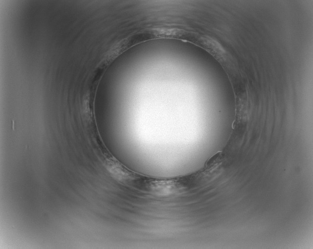 X0000071350377200607071730