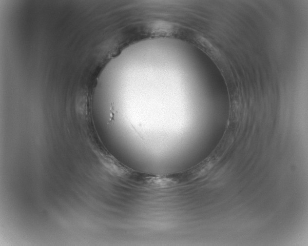 X0000071350379200607071730