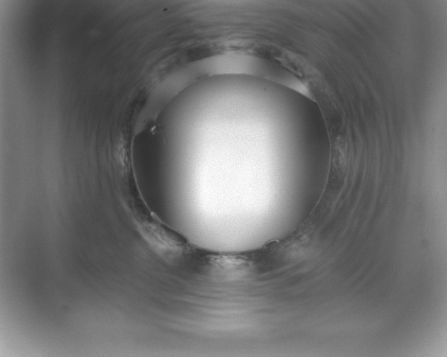 X0000071350380200607071730