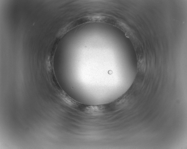 X0000071350381200607071730