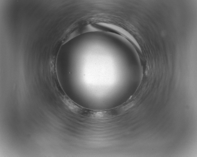 X0000071350382200607071730