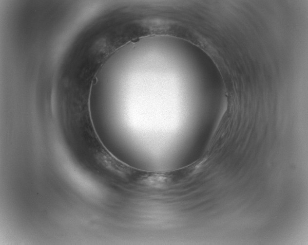 X0000071350383200607071730