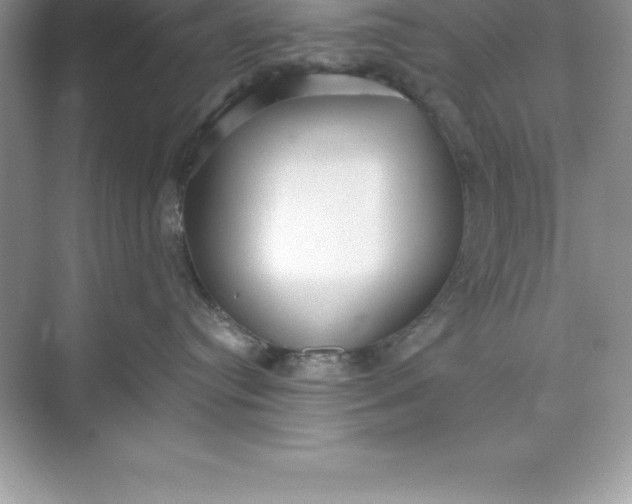 X0000071350384200607071730