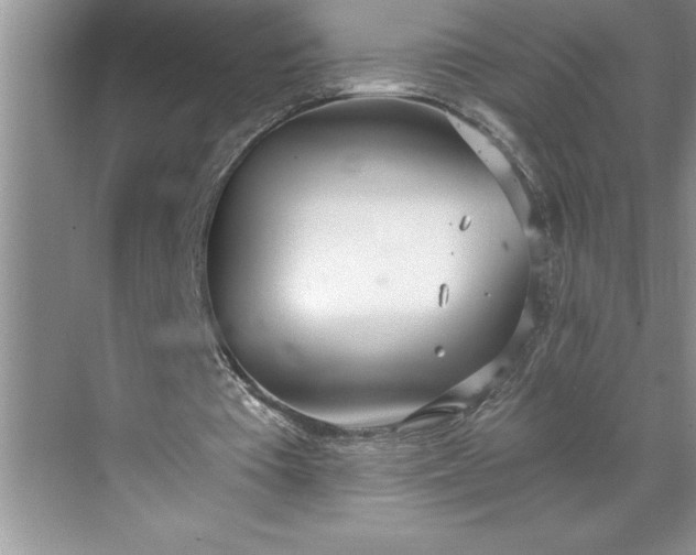 X0000071350385200607071729