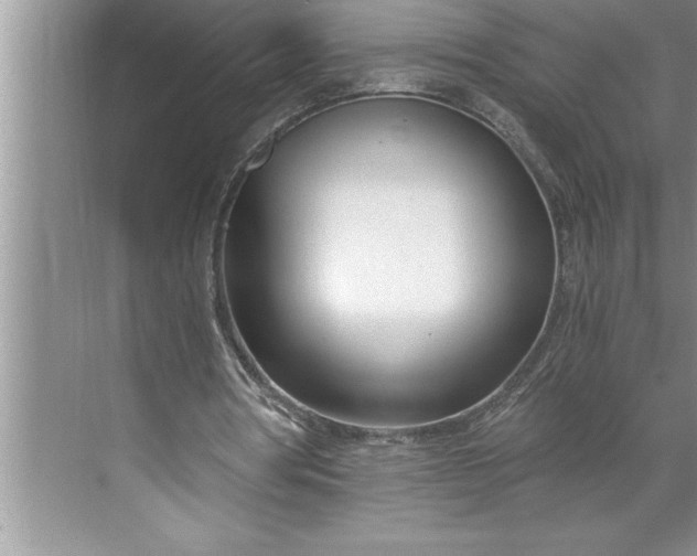 X0000071350386200607071729