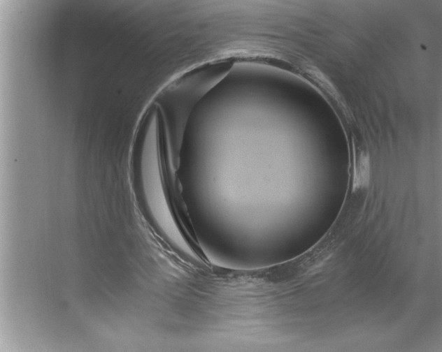 X0000071350387200607071729