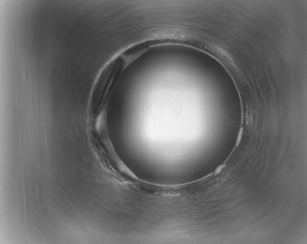 X0000071350388200607071729